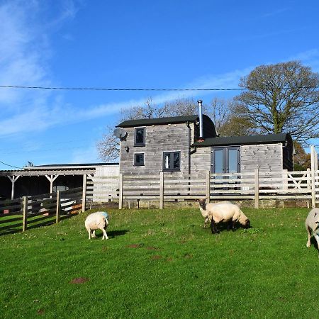 Shepherds Cabin At Titterstone Farden エクステリア 写真